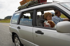 family driving with dog